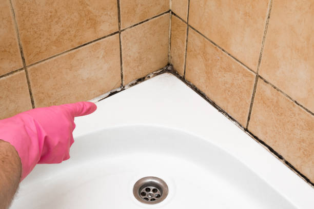 Best Mold Removal Near Me  in Neffs, OH